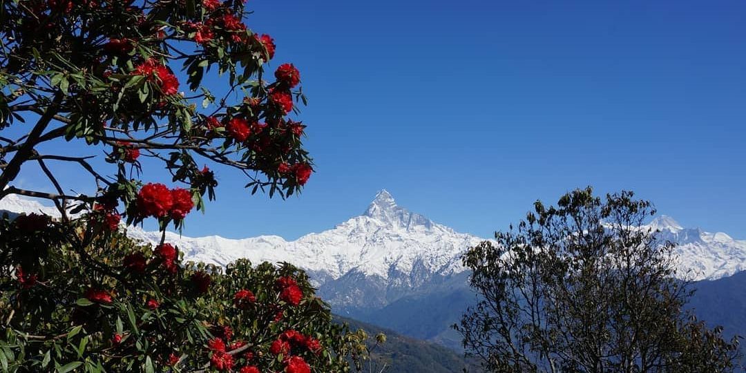 best 1 day treks in Nepal