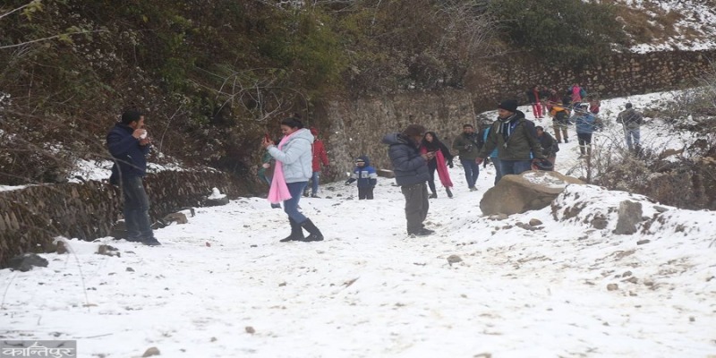 snowfall in Phulchowki